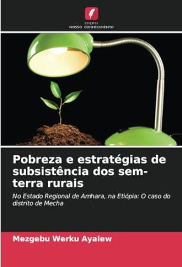 Pobreza e estratégias de subsistência dos sem-terra rurais