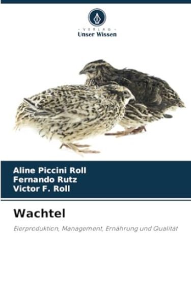 Wachtel