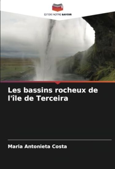 Les bassins rocheux de l'île de Terceira