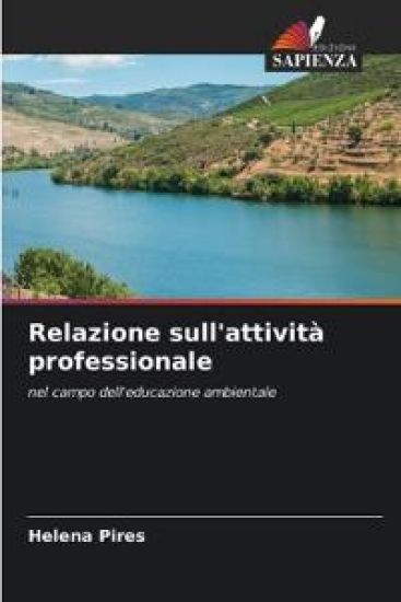 Relazione sull'attività professionale