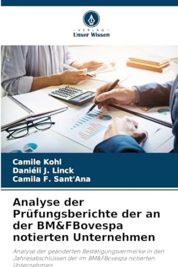 Analyse der Prüfungsberichte der an der BM&FBovespa notierten Unternehmen