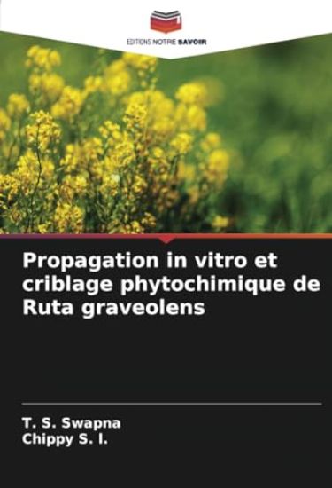Propagation in vitro et criblage phytochimique de Ruta graveolens