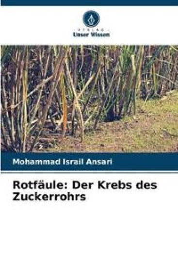 Rotfäule