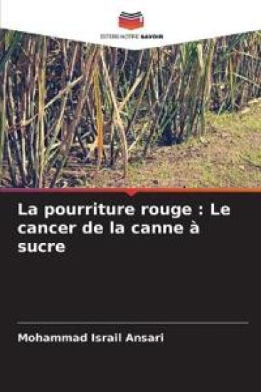 La pourriture rouge