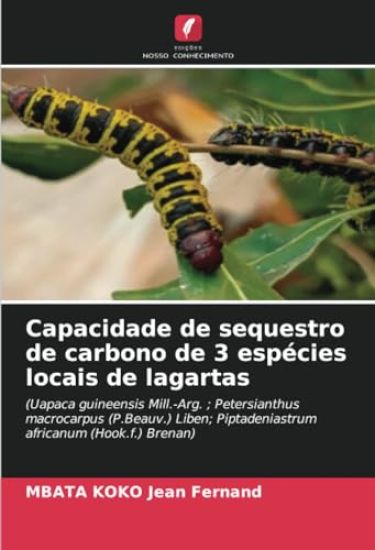 Capacidade de sequestro de carbono de 3 espécies locais de lagartas