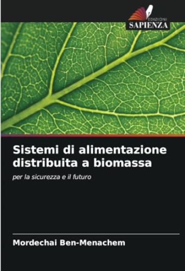 Sistemi di alimentazione distribuita a biomassa