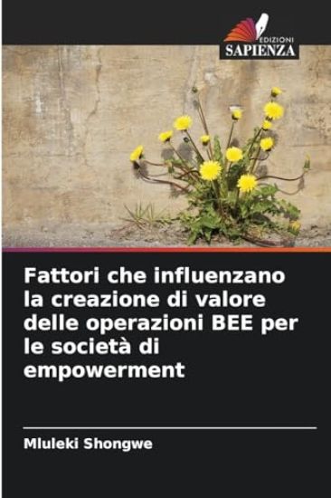 Fattori che influenzano la creazione di valore delle operazioni BEE per le società di empowerment