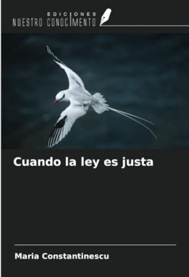 Cuando la ley es justa