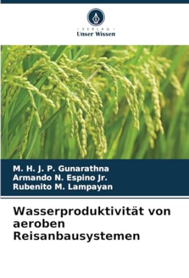 Wasserproduktivität von aeroben Reisanbausystemen