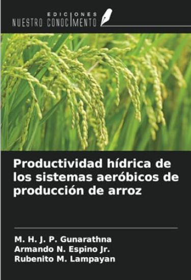 Productividad hídrica de los sistemas aeróbicos de producción de arroz