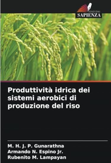 Produttività idrica dei sistemi aerobici di produzione del riso