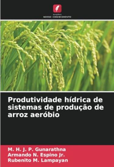 Produtividade hídrica de sistemas de produção de arroz aeróbio