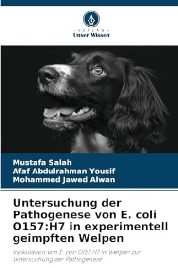 Untersuchung der Pathogenese von E. coli O157