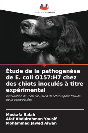 Étude de la pathogenèse de E. coli O157