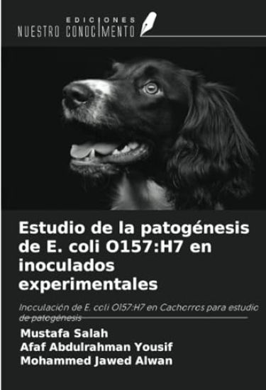 Estudio de la patogénesis de E. coli O157:H7 en inoculados experimentales