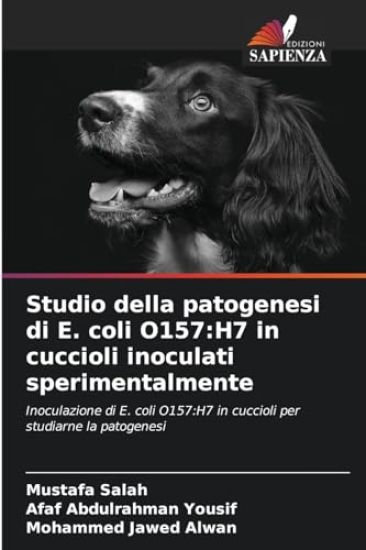 Studio della patogenesi di E. coli O157