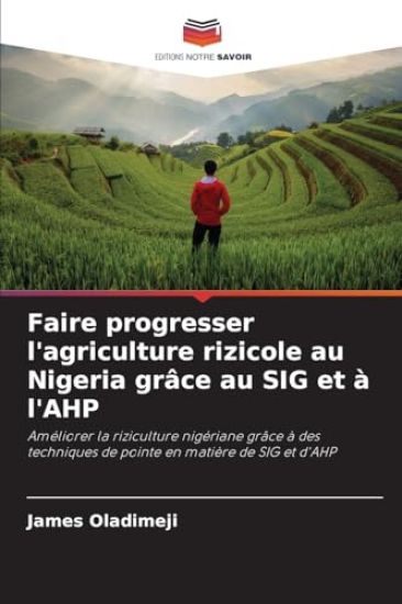 Faire progresser l'agriculture rizicole au Nigeria grâce au SIG et à l'AHP