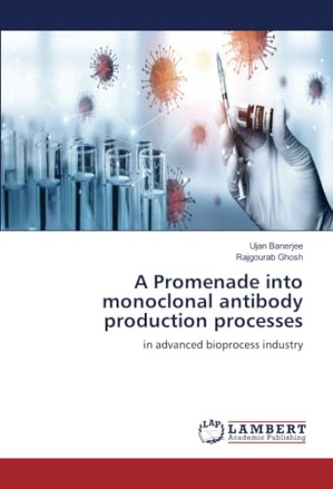 A Promenade into monoclonal antibody production processes