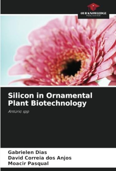 Silicon in Ornamental Plant Biotechnology