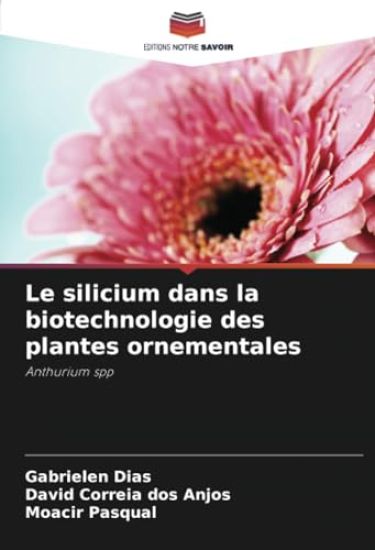 Le silicium dans la biotechnologie des plantes ornementales