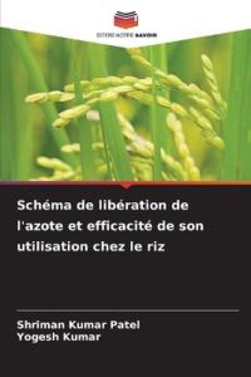 Schéma de libération de l'azote et efficacité de son utilisation chez le riz