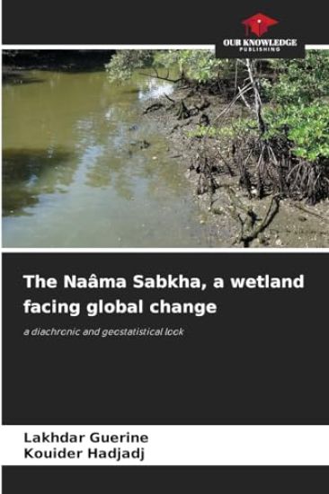 The Naâma Sabkha, a wetland facing global change