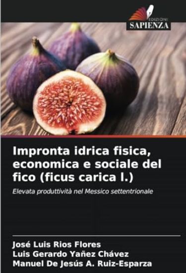 Impronta idrica fisica, economica e sociale del fico (ficus carica l.)