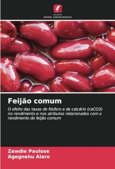 Feijão comum