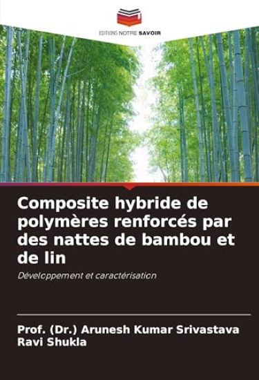 Composite hybride de polymères renforcés par des nattes de bambou et de lin