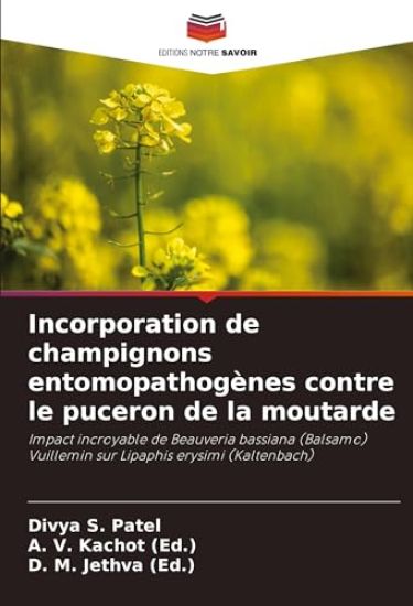Incorporation de champignons entomopathogènes contre le puceron de la moutarde