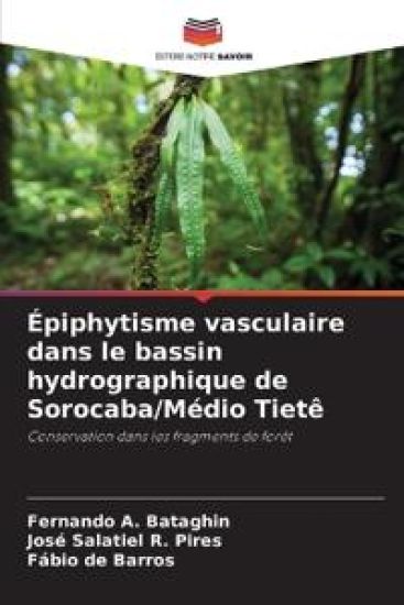 Épiphytisme vasculaire dans le bassin hydrographique de Sorocaba/Médio Tietê