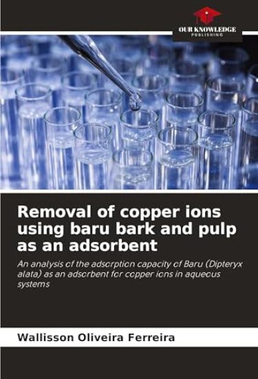Removal of copper ions using baru bark and pulp as an adsorbent