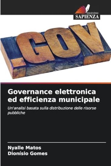 Governance elettronica ed efficienza municipale