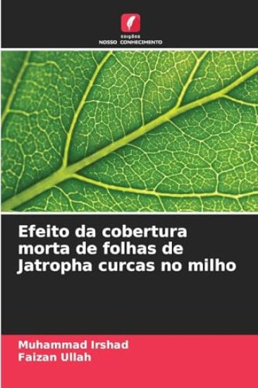 Efeito da cobertura morta de folhas de Jatropha curcas no milho