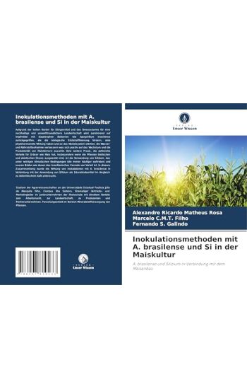 Inokulationsmethoden mit A. brasilense und Si in der Maiskultur