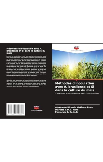 Méthodes d'inoculation avec A. brasilense et Si dans la culture du maïs