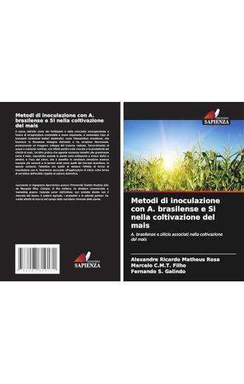 Metodi di inoculazione con A. brasilense e Si nella coltivazione del mais