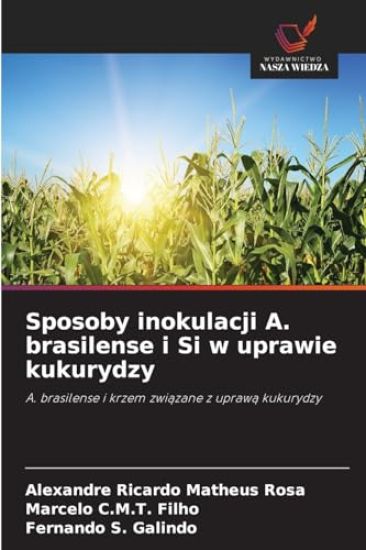 Sposoby inokulacji A. brasilense i Si w uprawie kukurydzy
