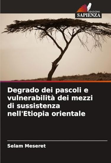 Degrado dei pascoli e vulnerabilità dei mezzi di sussistenza nell'Etiopia orientale