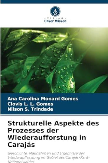 Strukturelle Aspekte des Prozesses der Wiederaufforstung in Carajás