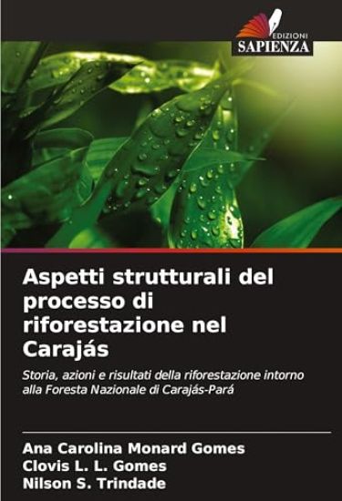 Aspetti strutturali del processo di riforestazione nel Carajás