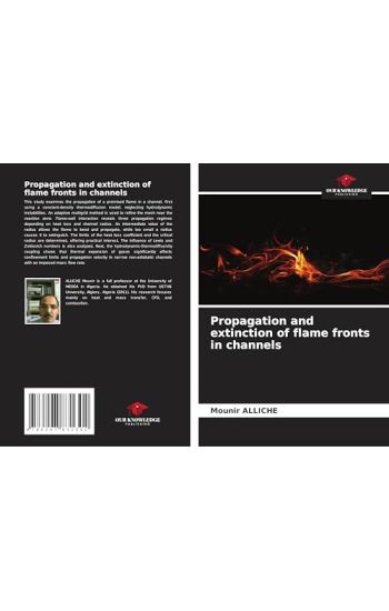Propagation and extinction of flame fronts in channels