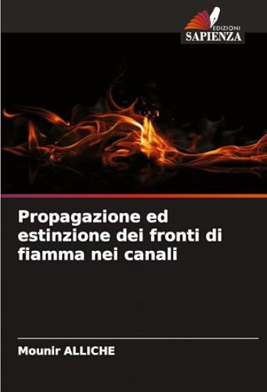 Propagazione ed estinzione dei fronti di fiamma nei canali