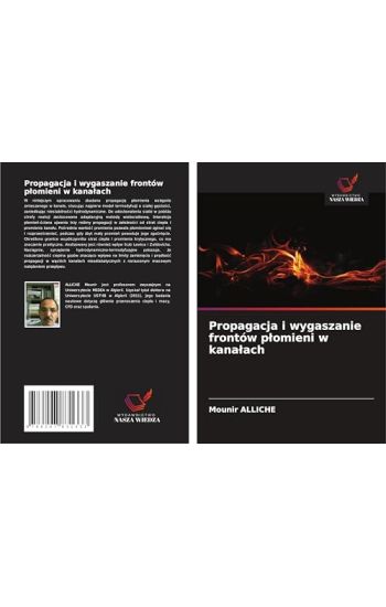 Propagacja i wygaszanie frontów plomieni w kanalach