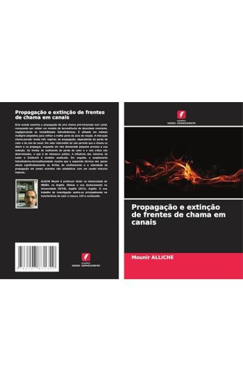 Propagação e extinção de frentes de chama em canais
