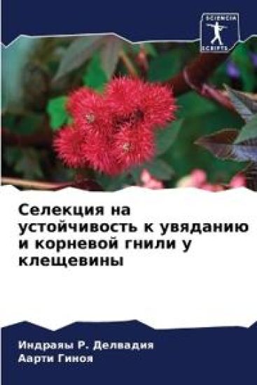 ???????? ?? ???????????? ? ???????? ? ???l