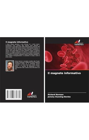 Il magnete informativo