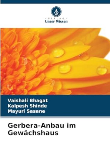 Gerbera-Anbau im Gewächshaus