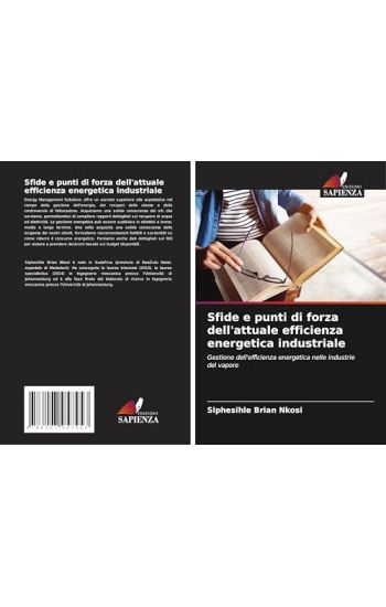 Sfide e punti di forza dell'attuale efficienza energetica industriale