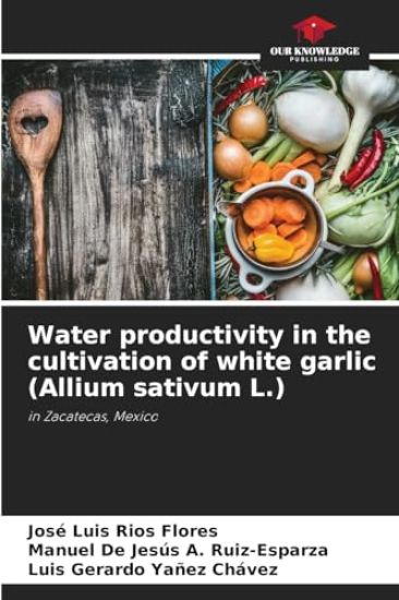 Water productivity in the cultivation of white garlic (Allium sativum L.)